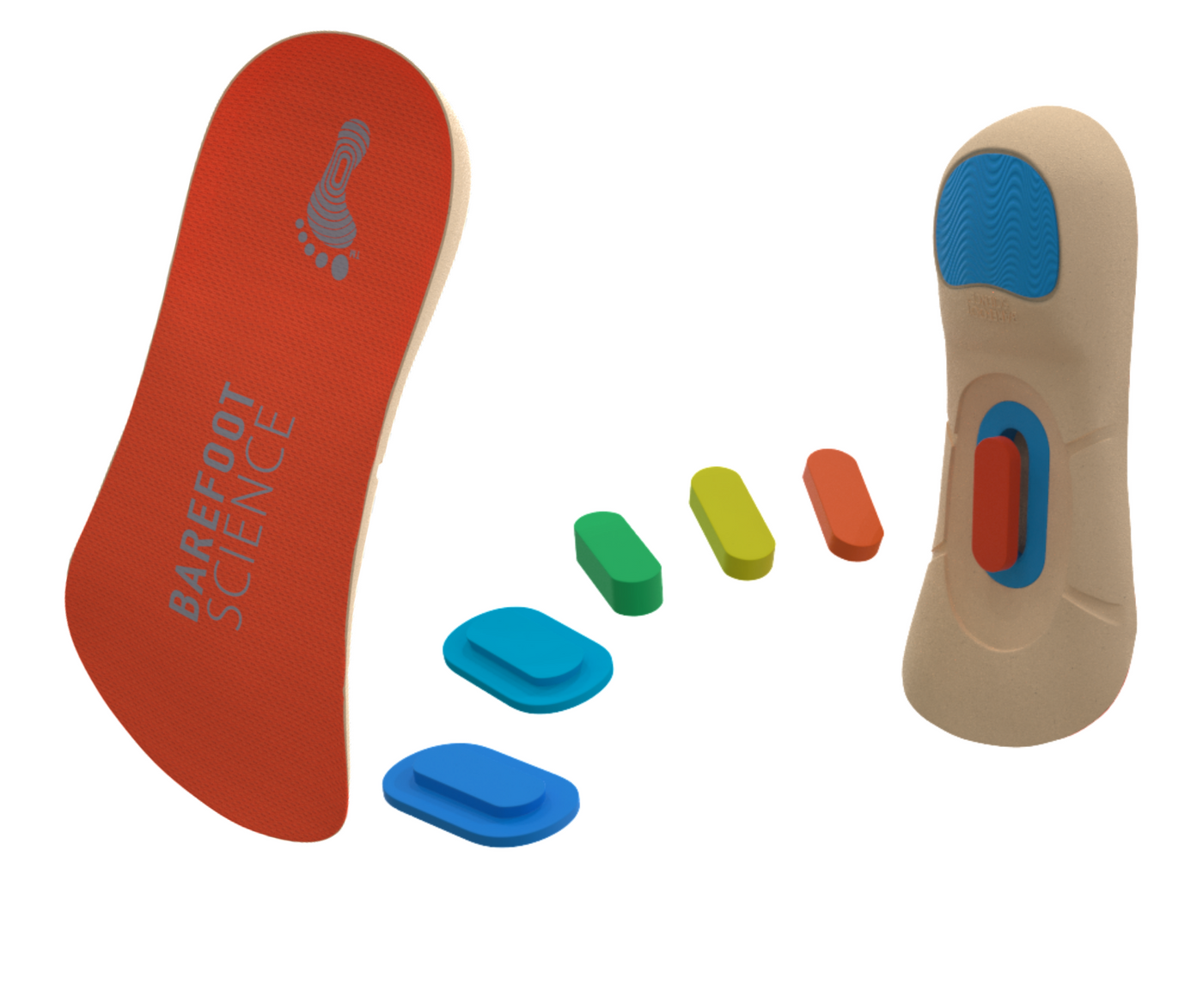 Barefoot Science Active 3/4 Length - top and bottom of insoles with six levels of inserts